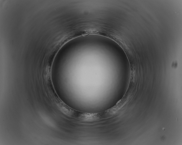 X0000094430093200711211443