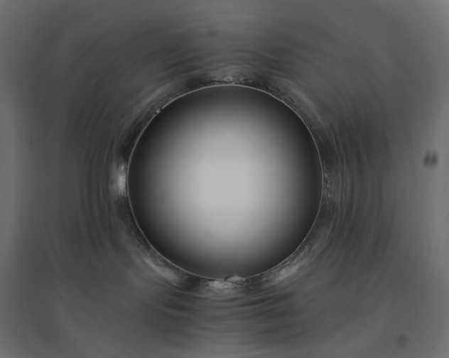 X0000094430095200711211443