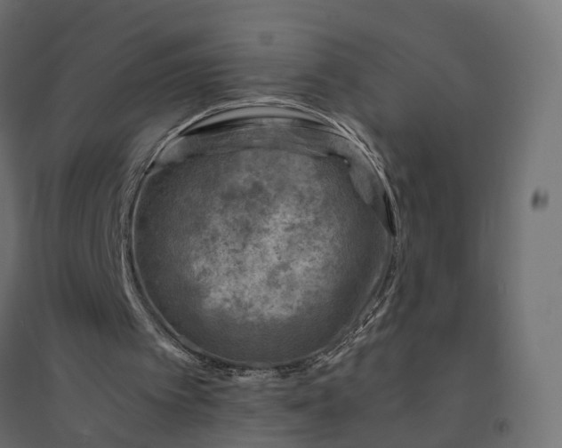 X0000094430097200711211443