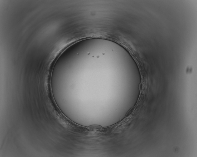 X0000094430098200711211443