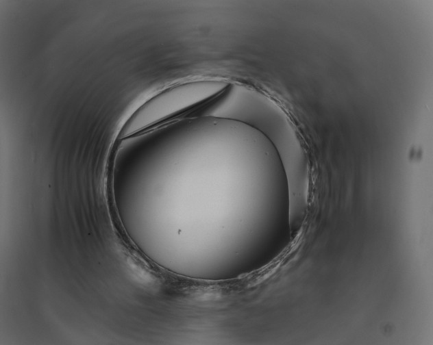 X0000094430100200711211443