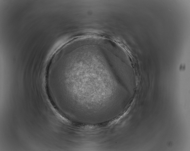 X0000094430101200711211443