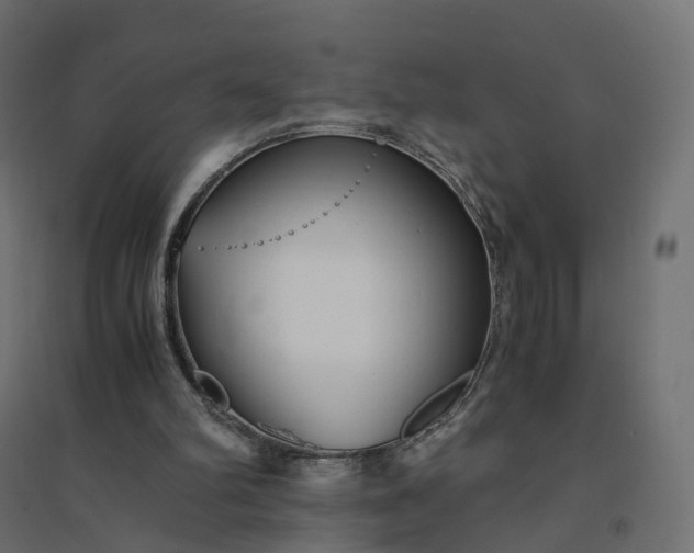 X0000094430102200711211443