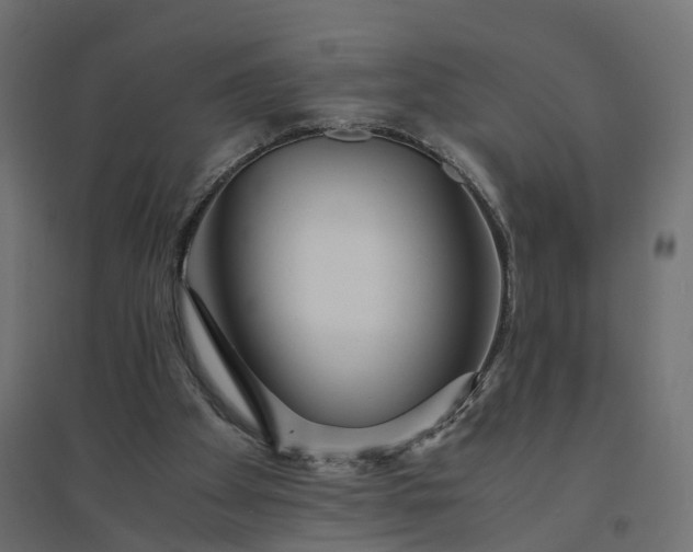 X0000094430105200711211443