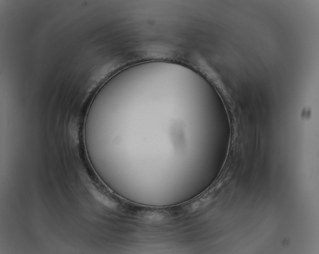 X0000094430106200711211443