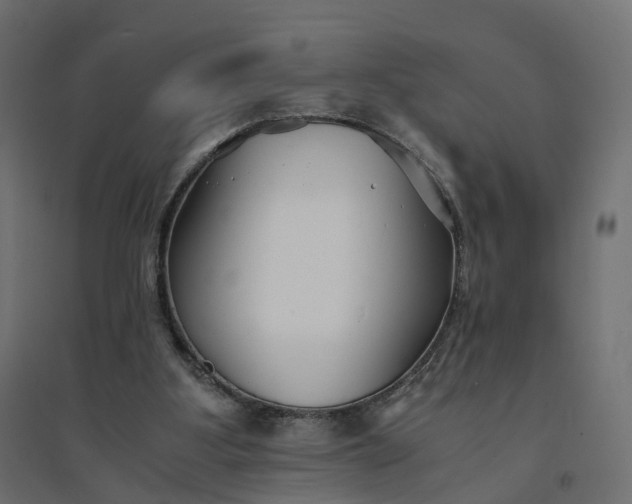 X0000094430107200711211443