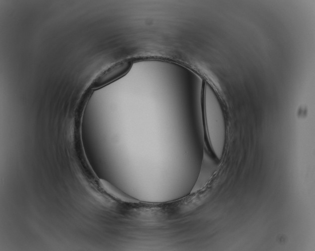 X0000094430108200711211443