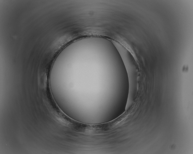 X0000094430109200711211443