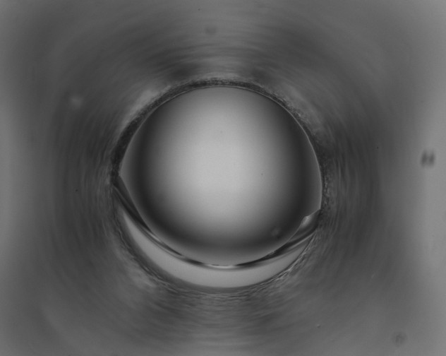 X0000094430112200711211443