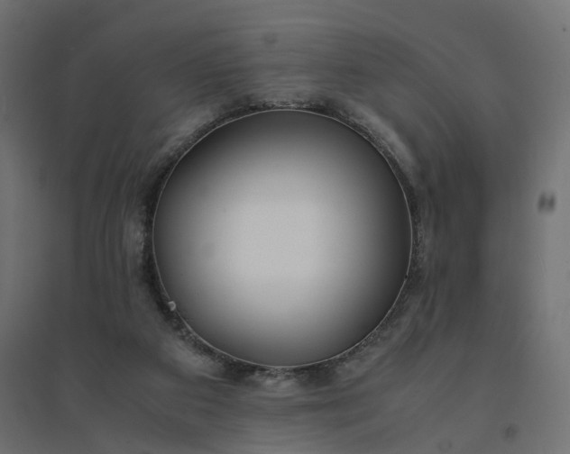 X0000094430113200711211443