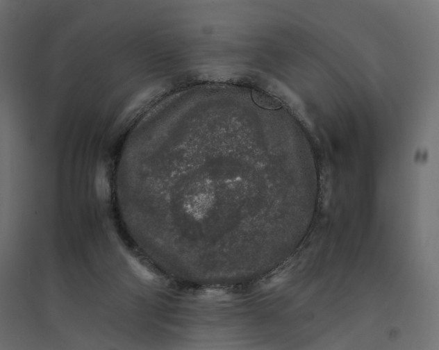 X0000094430114200711211443