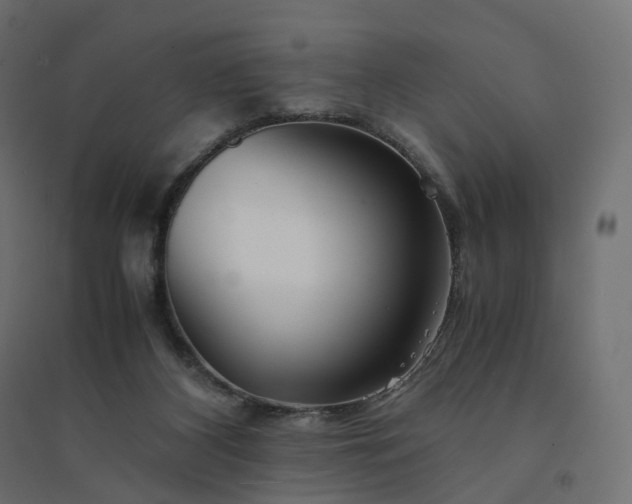 X0000094430116200711211442