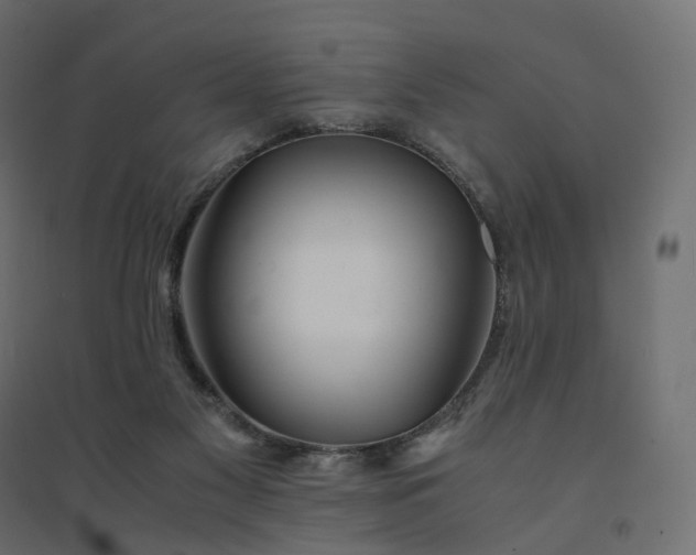 X0000094430117200711211442
