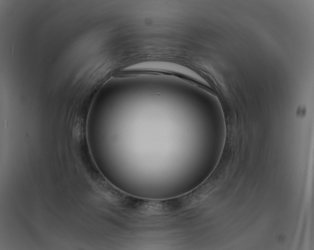 X0000094430123200711211442