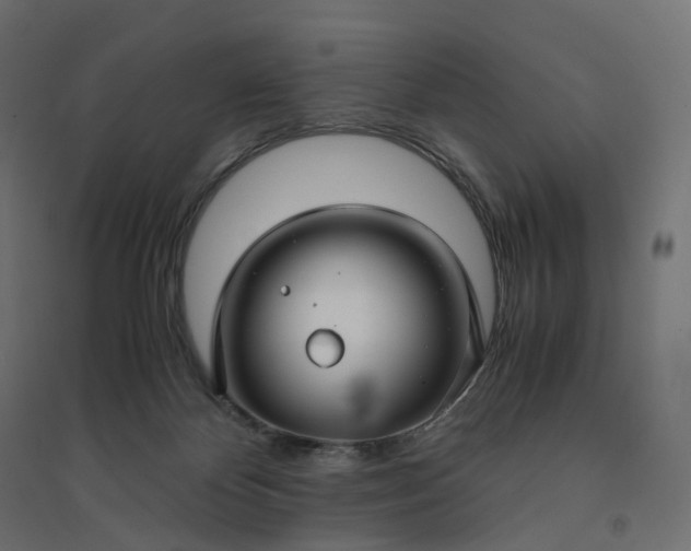 X0000094430124200711211442
