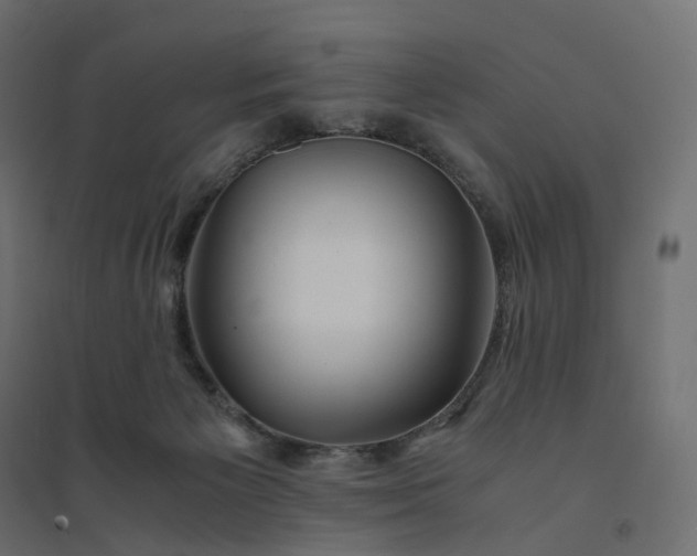 X0000094430125200711211442