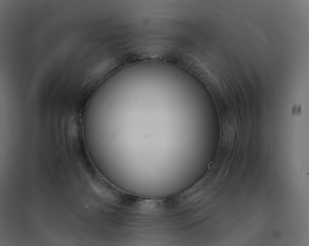 X0000094430126200711211442