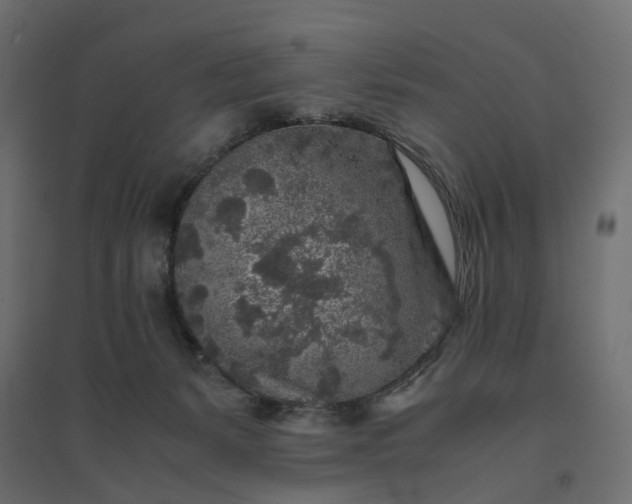 X0000094430127200711211442