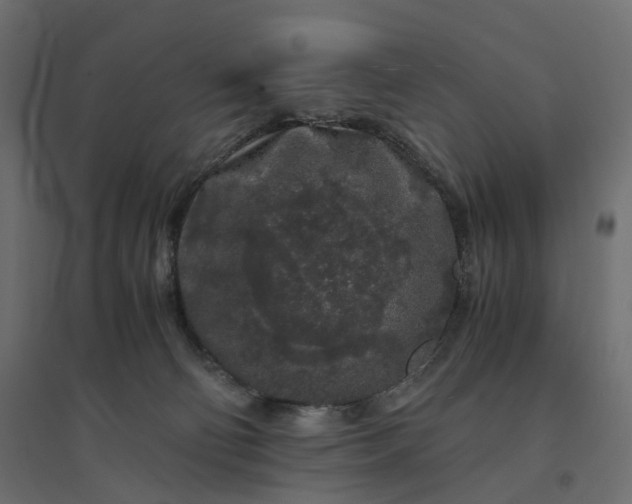 X0000094430130200711211442