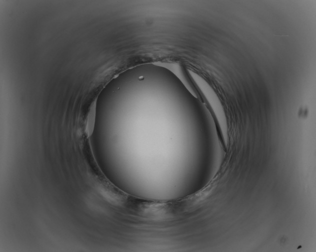 X0000094430132200711211442