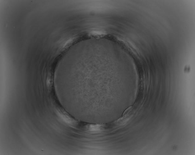 X0000094430134200711211442