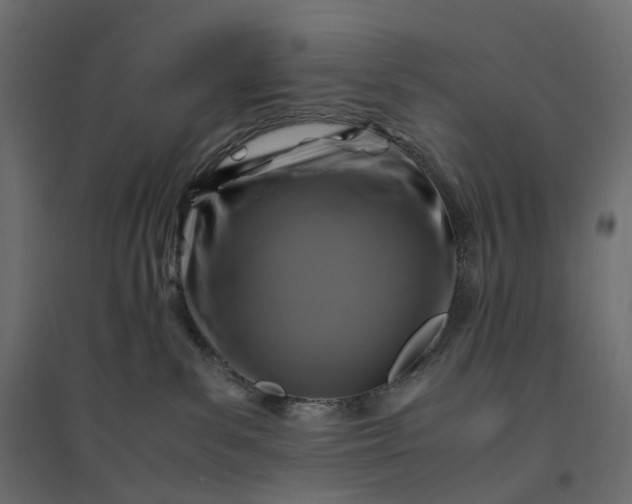 X0000094430139200711211442