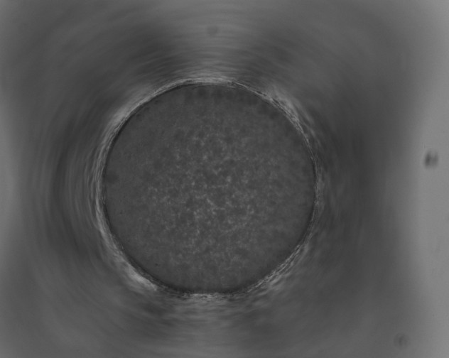 X0000094430145200711211441