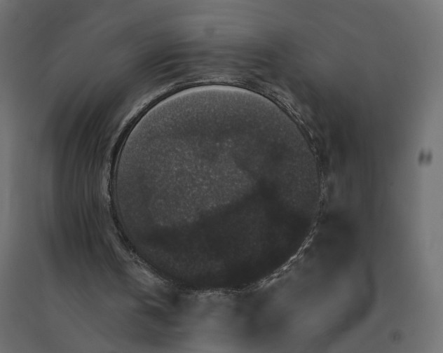 X0000094430146200711211441