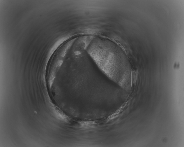 X0000094430147200711211441