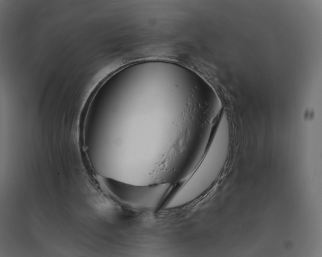 X0000094430148200711211441