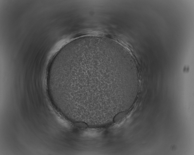 X0000094430149200711211441