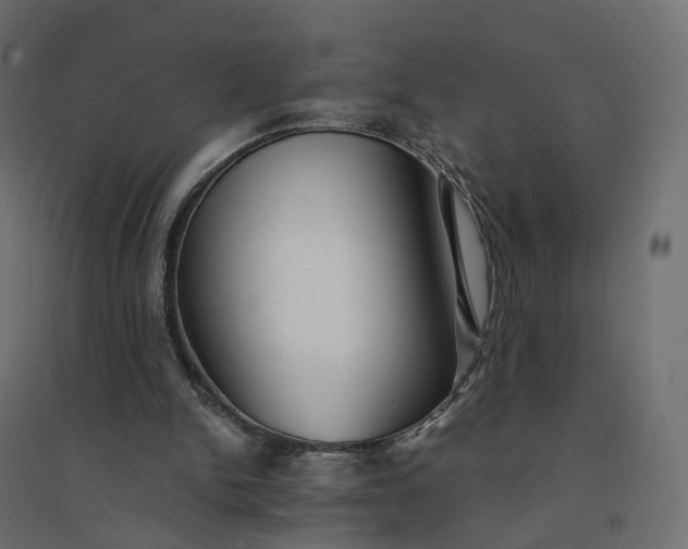 X0000094430150200711211441