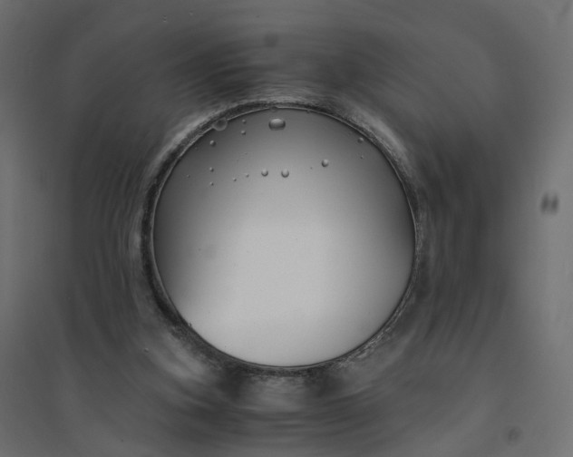 X0000094430155200711211442