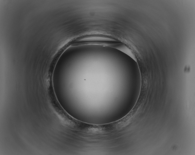 X0000094430160200711211442