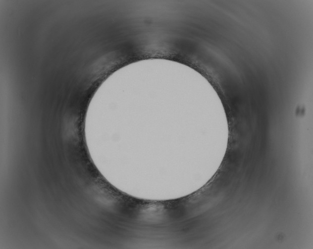 X0000094430162200711211442