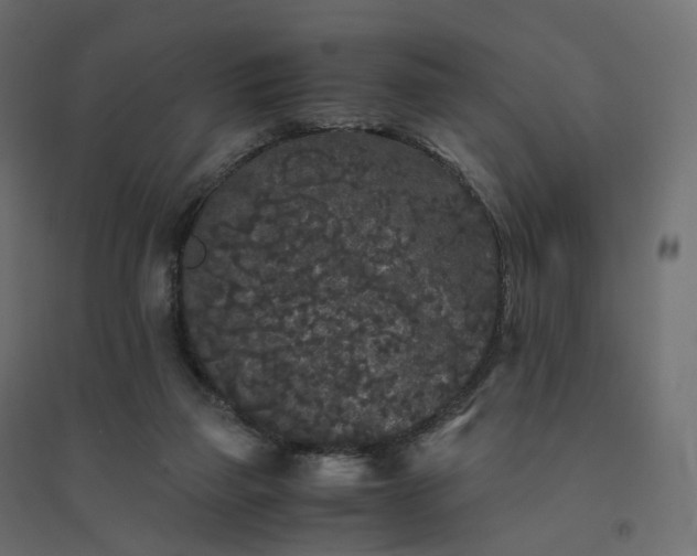 X0000094430165200711211442