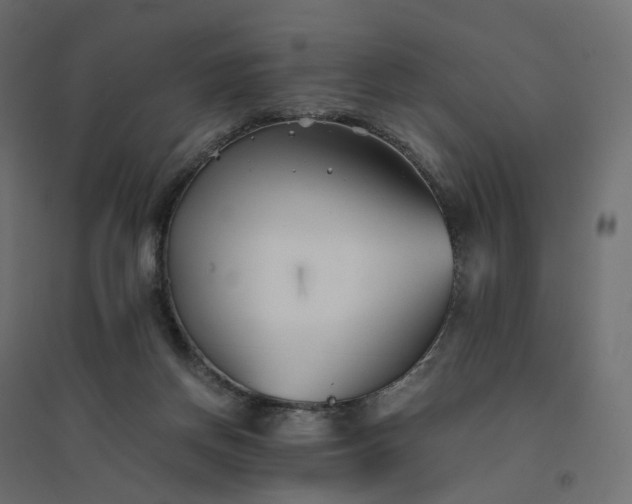 X0000094430166200711211442