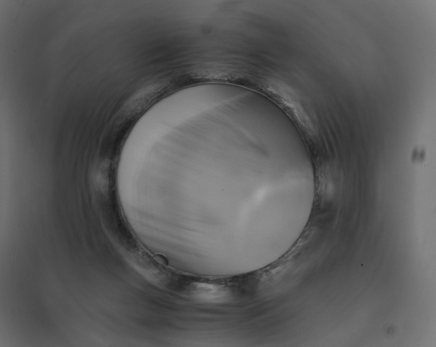 X0000094430167200711211442