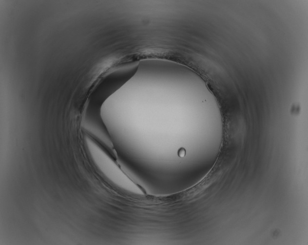 X0000094430168200711211442
