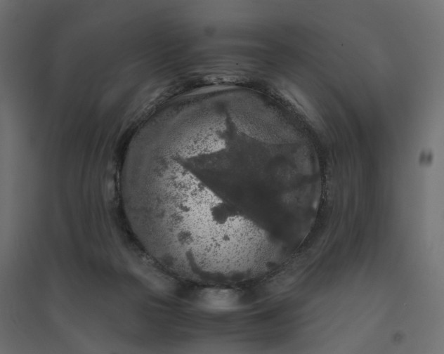 X0000094430169200711211442