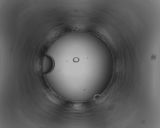 X0000094430173200711211442