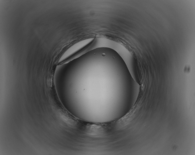X0000094430180200711211442