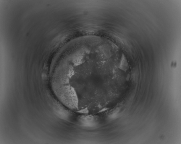 X0000094430181200711211442