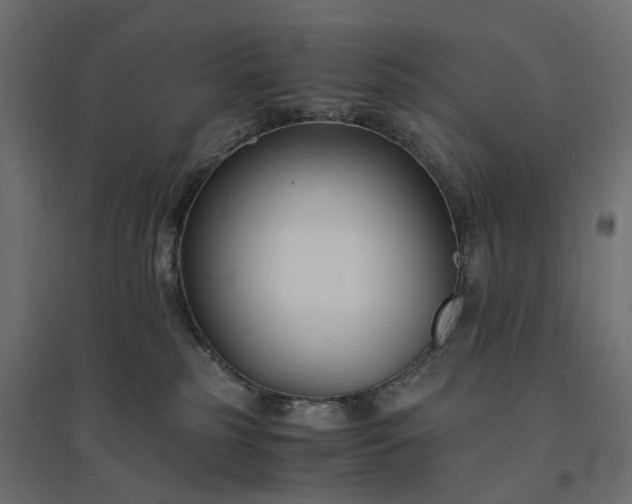 X0000094430185200711211442