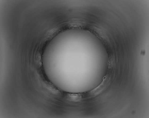X0000094430187200711211442