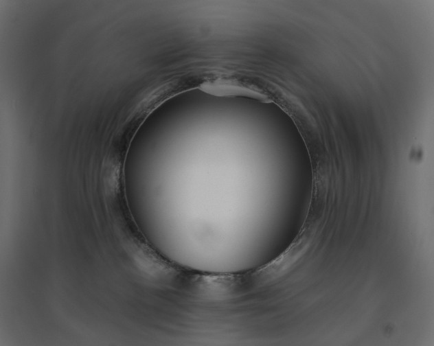 X0000094430188200711211442