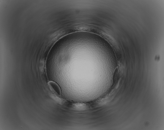 X0000094430189200711211442