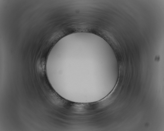 X0000094430190200711211442