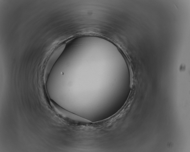 X0000094430193200711211441