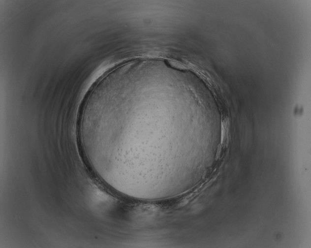 X0000094430195200711211441